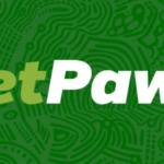 Betpawa Cameroun 2026 Mon Avis Complet sur le Bookmaker Local